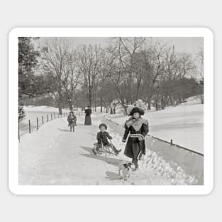 Winter in Central Park, 1900. Vintage Photo Sticker